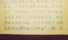 我逐渐了解了他作文800字