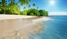 一路与芬芳同行