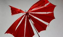 一把伞，一份情