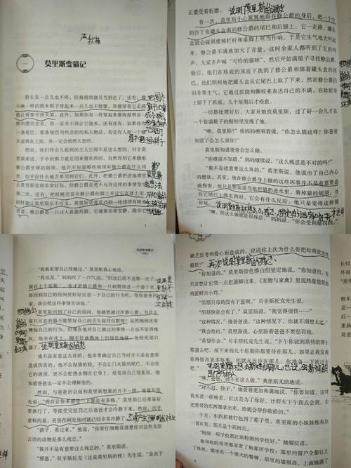 成为猫