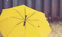 那是一次合伞的尝试