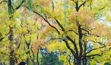 秋天我们一起走过