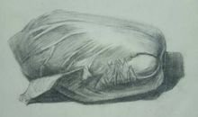 寒假里最难忘的一件事