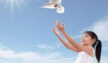 我们携手走进阳光