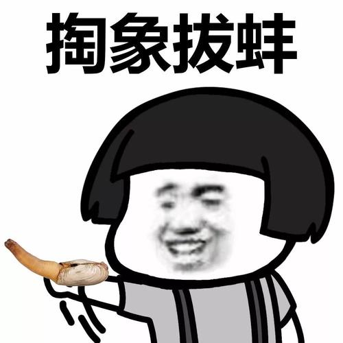 我可以选择自卑