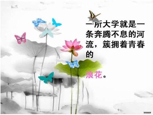 我的青春我的梦征文