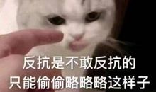 为何我如此伤心