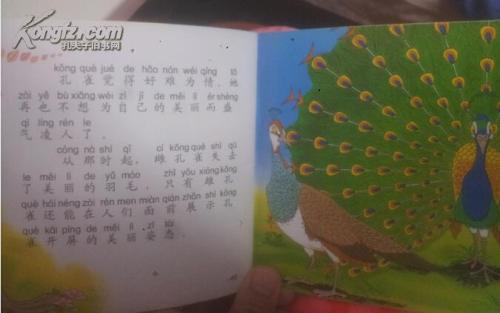 孔雀和白鹤