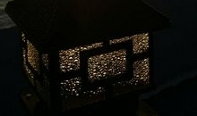 漂浮在水上的针