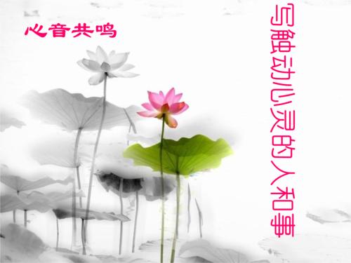 感动心灵的过去