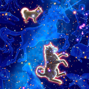 看，夜空中最亮的星星