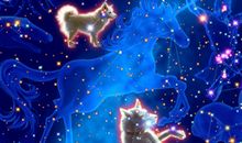 你瞧，夜空中最亮的那颗星