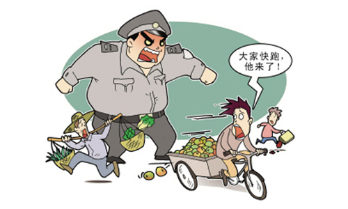 蔬菜种植