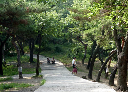 在公园里看到和听到