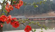 滋润我心田的雨