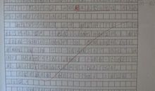 我和动物的故事作文