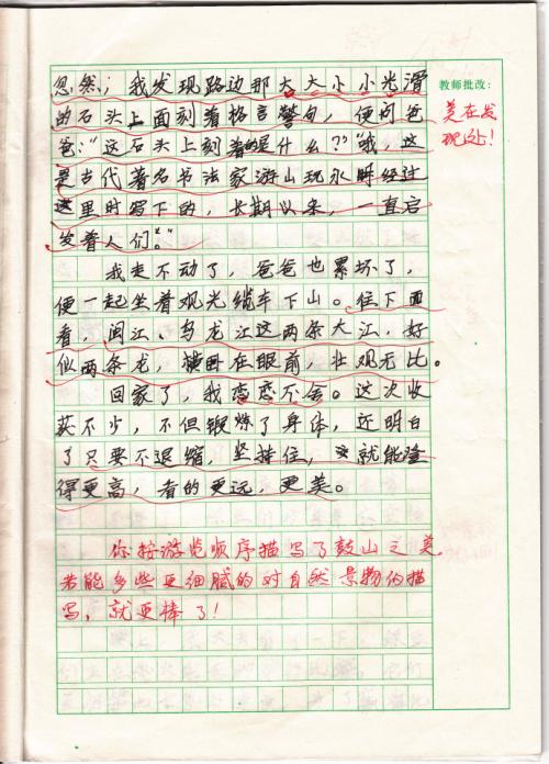 描述豚鼠的成分