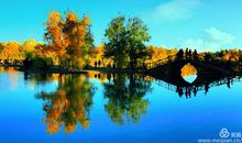 欣赏也是一种美