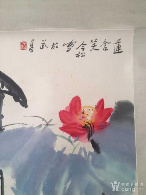 莲花对人类的贡献