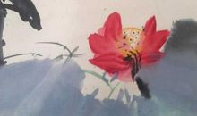 荷花对人类的贡献