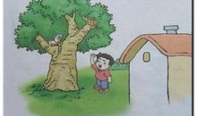 秋天的图画看图写话