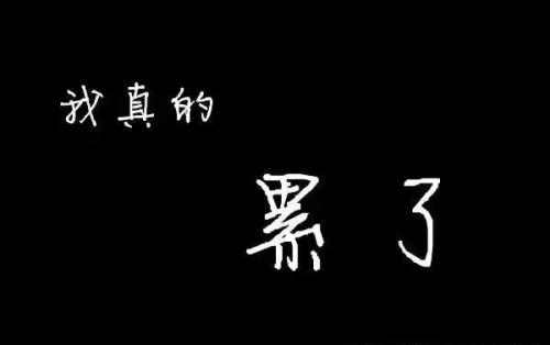 我真的不应该这样对你