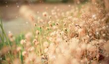 朋友温暖了时光