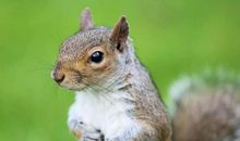 我发现了生命的真谛