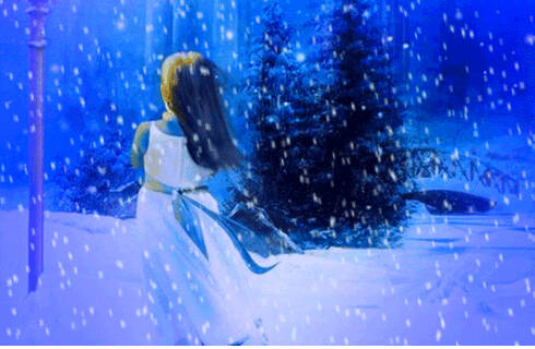 雪中​​最美的身影