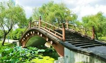 美丽的世纪公园