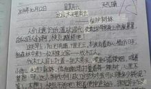 读这段木头里一定有虫有感