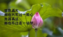 书，人生的挚友