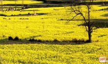 走进春天的一节课