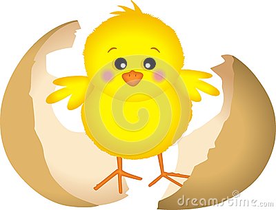 顽皮的小鸡
