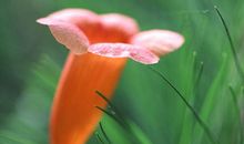 学海无涯乐作舟