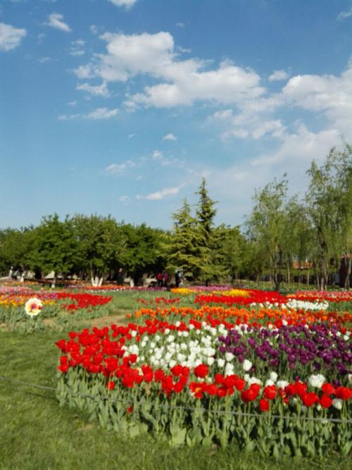 游览金沙植物园