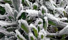 我发现诗词竟如此美丽