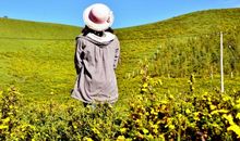 那个身影一直都在