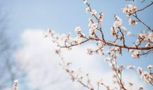 成长路上那一缕芬芳