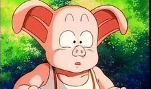 吃西瓜吃出的傻事