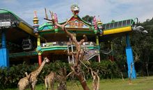 长隆野生动物园