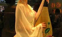精彩的琵琶演出