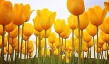 那一束阳光很暖