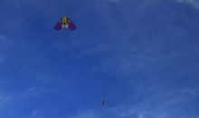 风筝飞上了天空