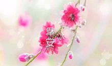 那是一次有鲜花喝彩的决定