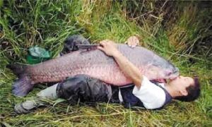 生物杀手