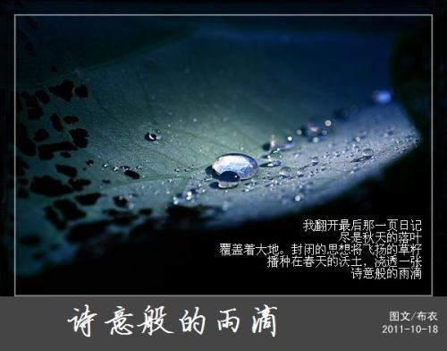 雨滴的自我介绍