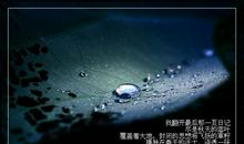 雨滴的自我介绍