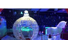 难忘的一次冰雕展览