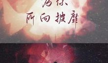 让我欢喜让我愁